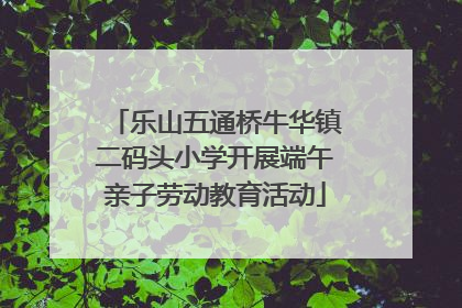 乐山五通桥牛华镇二码头小学开展端午亲子劳动教育活动