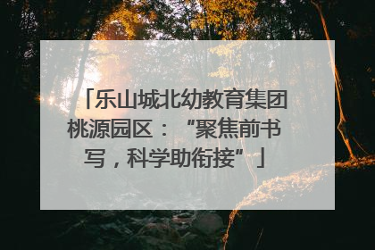 乐山城北幼教育集团桃源园区：“聚焦前书写，科学助衔接”