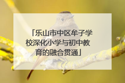乐山市中区牟子学校深化小学与初中教育的融合贯通