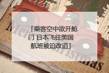 乘客空中欲开舱门 日本飞往美国航班被迫改道