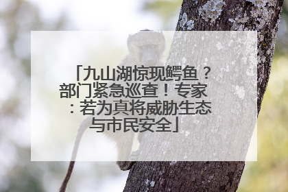 九山湖惊现鳄鱼？部门紧急巡查！专家：若为真将威胁生态与市民安全