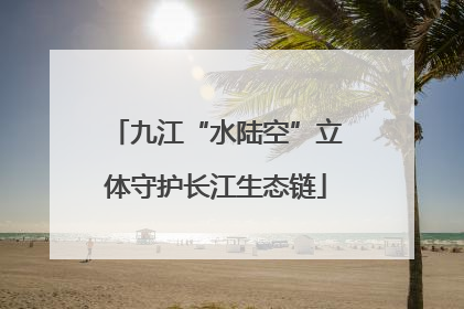 九江“水陆空”立体守护长江生态链