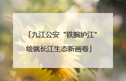 九江公安“铁腕护江”绘就长江生态新画卷