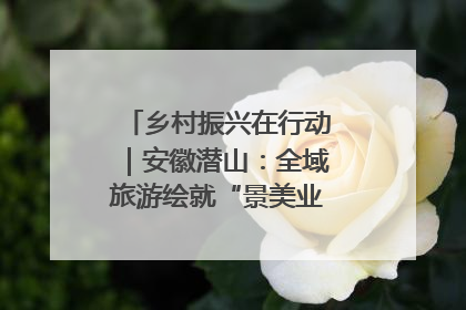 乡村振兴在行动｜安徽潜山：全域旅游绘就“景美业兴民富”新画卷