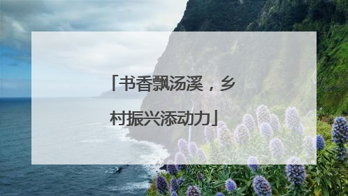 书香飘汤溪，乡村振兴添动力