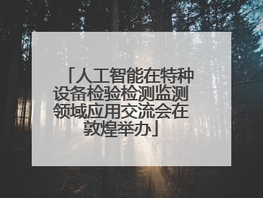 人工智能在特种设备检验检测监测领域应用交流会在敦煌举办