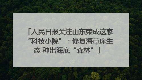 人民日报关注山东荣成这家“科技小院”：修复海草床生态 种出海底“森林”