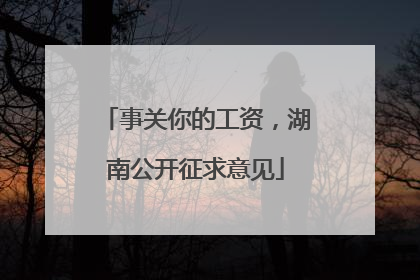 事关你的工资，湖南公开征求意见