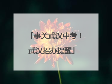 事关武汉中考！武汉招办提醒