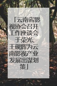 云南省影视协会召开工作座谈会 于荣光、王砚辉为云南影视产业发展出谋划策