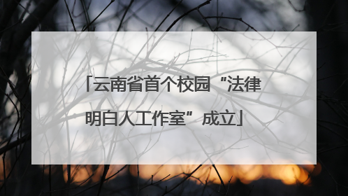 云南省首个校园“法律明白人工作室”成立