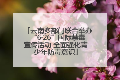 云南多部门联合举办“6·26”国际禁毒宣传活动 全面强化青少年防毒意识