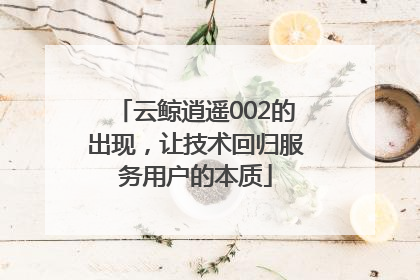 云鲸逍遥002的出现，让技术回归服务用户的本质