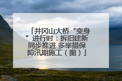 井冈山大桥“变身”进行时：拆旧建新同步推进 多举措保障汛期施工（图）