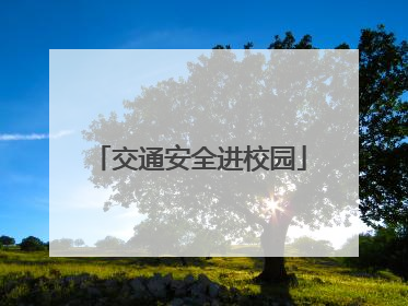 交通安全进校园