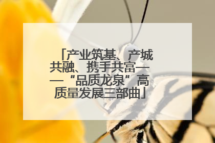 产业筑基、产城共融、携手共富——“品质龙泉”高质量发展三部曲