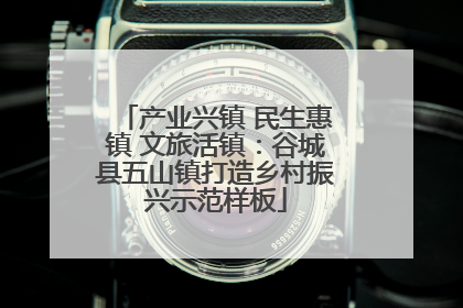 产业兴镇 民生惠镇 文旅活镇：谷城县五山镇打造乡村振兴示范样板
