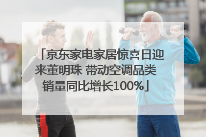 京东家电家居惊喜日迎来董明珠 带动空调品类销量同比增长100%