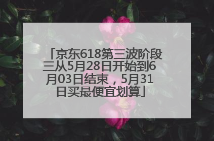 京东618第三波阶段三从5月28日开始到6月03日结束，5月31日买最便宜划算