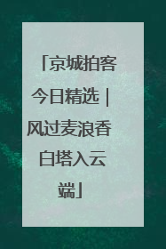 京城拍客今日精选｜风过麦浪香 白塔入云端