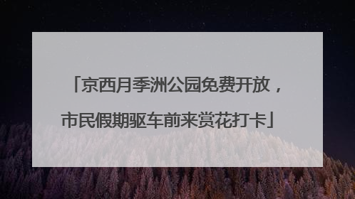 京西月季洲公园免费开放，市民假期驱车前来赏花打卡