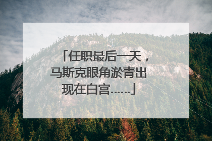 任职最后一天，马斯克眼角淤青出现在白宫……