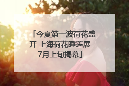 今夏第一波荷花盛开 上海荷花睡莲展7月上旬揭幕