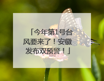 今年第1号台风要来了！安徽发布双预警！