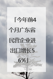 今年前4个月广东省民营企业进出口增长5.6%