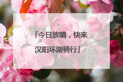 今日放晴，快来汉阳环湖骑行
