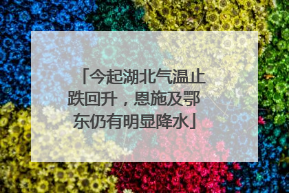 今起湖北气温止跌回升，恩施及鄂东仍有明显降水