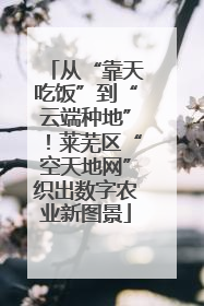 从“靠天吃饭”到“云端种地”！莱芜区“空天地网”织出数字农业新图景