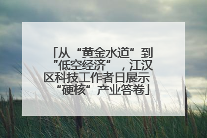 从“黄金水道”到“低空经济”，江汉区科技工作者日展示“硬核”产业答卷