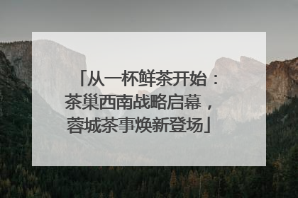 从一杯鲜茶开始：茶巢西南战略启幕，蓉城茶事焕新登场