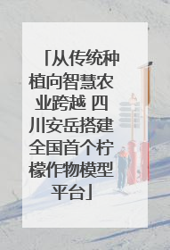 从传统种植向智慧农业跨越 四川安岳搭建全国首个柠檬作物模型平台