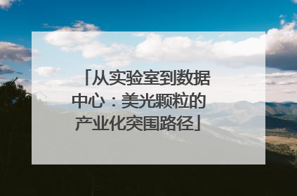 从实验室到数据中心：美光颗粒的产业化突围路径