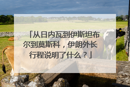 从日内瓦到伊斯坦布尔到莫斯科，伊朗外长行程说明了什么？