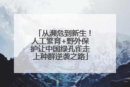 从濒危到新生！人工繁育+野外保护让中国绿孔雀走上种群逆袭之路