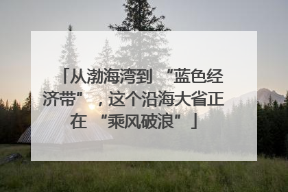 从渤海湾到 “蓝色经济带”，这个沿海大省正在 “乘风破浪”