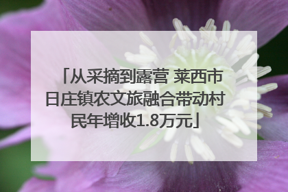 从采摘到露营 莱西市日庄镇农文旅融合带动村民年增收1.8万元