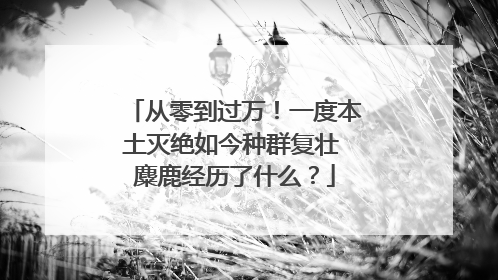 从零到过万！一度本土灭绝如今种群复壮 麋鹿经历了什么？