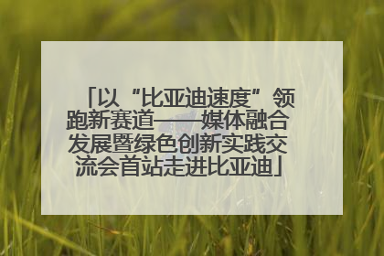 以“比亚迪速度”领跑新赛道——媒体融合发展暨绿色创新实践交流会首站走进比亚迪