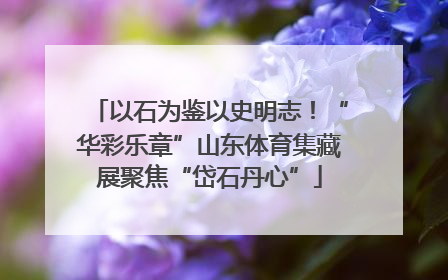 以石为鉴以史明志！“华彩乐章”山东体育集藏展聚焦“岱石丹心”
