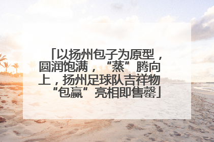以扬州包子为原型，圆润饱满，“蒸”腾向上，扬州足球队吉祥物“包赢”亮相即售罄