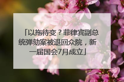 以拖待变？菲律宾副总统弹劾案被退回众院，新一届国会7月成立