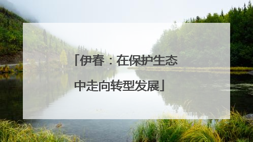 伊春：在保护生态中走向转型发展