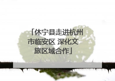 休宁县走进杭州市临安区 深化文旅区域合作