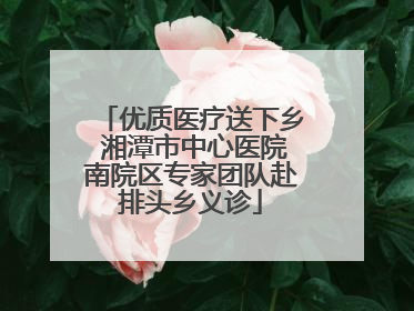 优质医疗送下乡 湘潭市中心医院南院区专家团队赴排头乡义诊