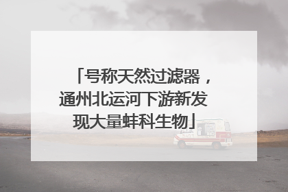 号称天然过滤器，通州北运河下游新发现大量蚌科生物