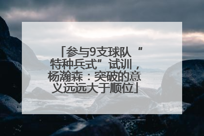 参与9支球队“特种兵式”试训，杨瀚森：突破的意义远远大于顺位
